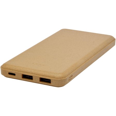 Batterie externe Eco 10000 mAh