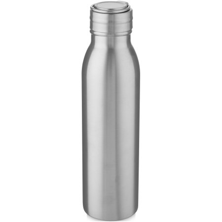 Bouteille d'eau Harper de 700 ml - Fabriquée en acier inoxydable certifié RCS avec boucle métallique