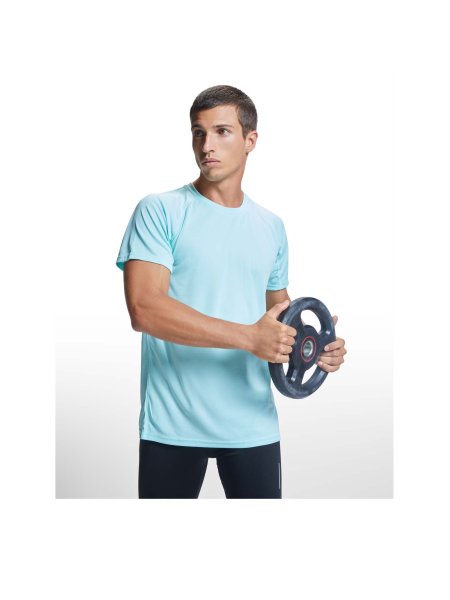 roly-t-shirt-bahrain-a-manches-courtes-pour-homme-polyester-135-g-m2-gris-132.jpg