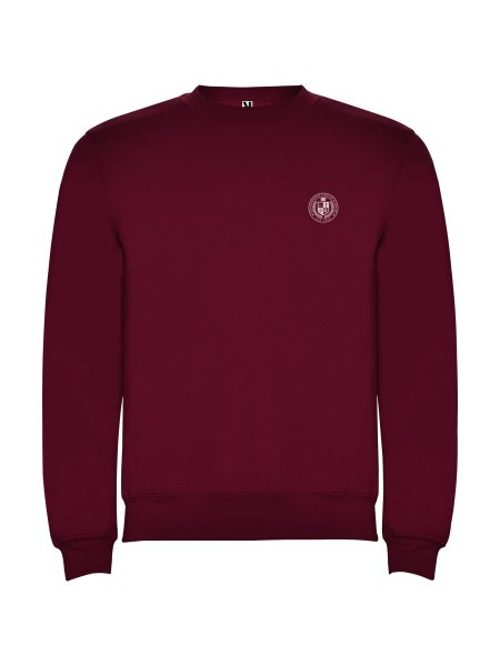 pull-clasica-pour-enfant-a-ras-du-cou-garnet-51.jpg