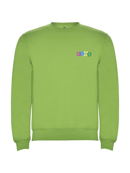 pull-clasica-pour-enfant-a-ras-du-cou-oasis-green-84.jpg