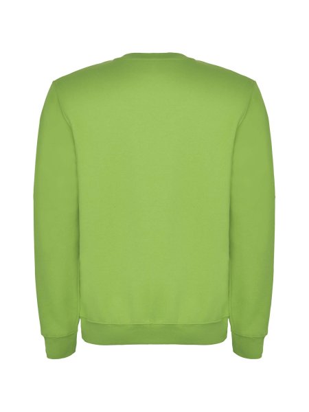 pull-clasica-pour-enfant-a-ras-du-cou-oasis-green-85.jpg