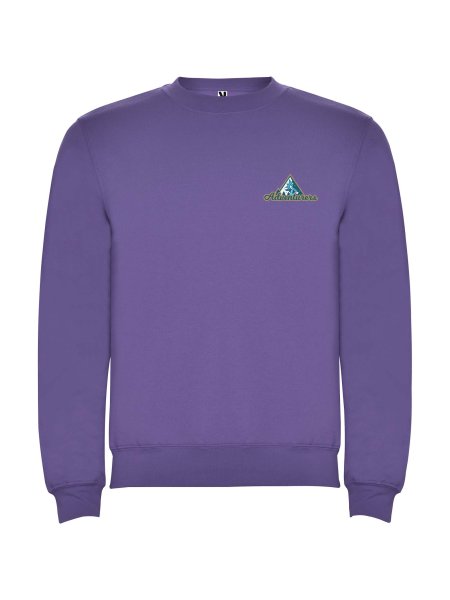 pull-clasica-pour-enfant-a-ras-du-cou-violet-irlandais-108.jpg