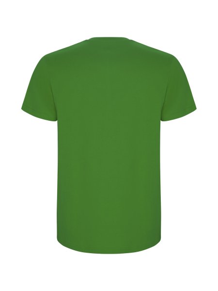 roly-t-shirt-stafford-manches-courtes-homme-coton-190-g-m2-grass-green-171.jpg