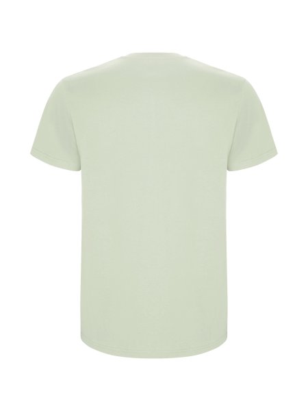 roly-t-shirt-stafford-manches-courtes-homme-coton-190-g-m2-mist-green-186.jpg