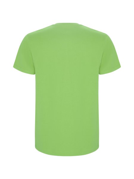roly-t-shirt-stafford-manches-courtes-homme-coton-190-g-m2-oasis-green-191.jpg