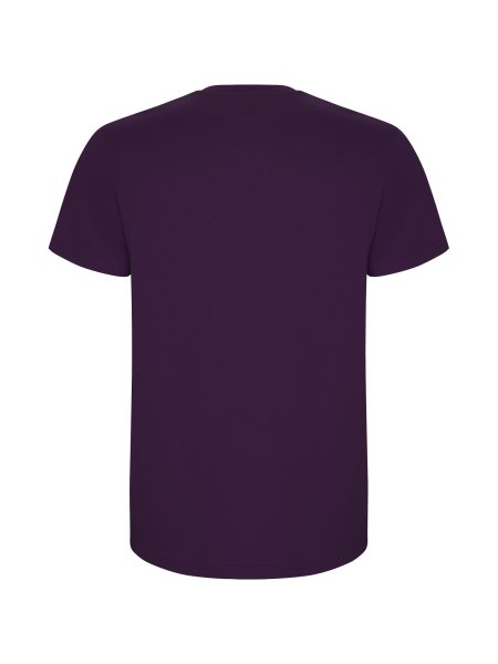 roly-t-shirt-stafford-manches-courtes-homme-coton-190-g-m2-violet-126.jpg