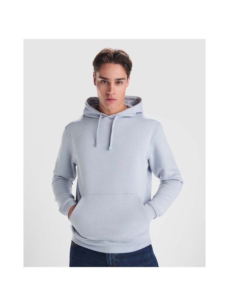 roly-sweat-a-capuche-urban-homme-coton-et-polyester-280-g-m2-ebony-253.jpg