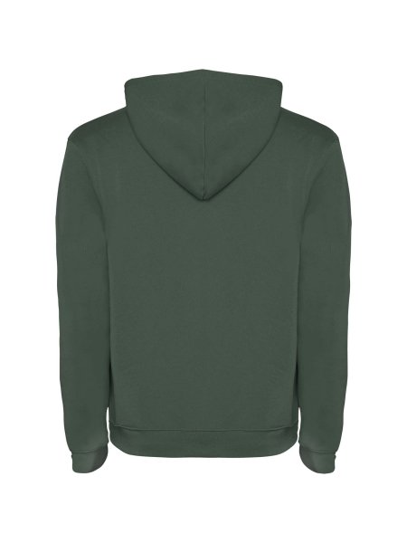 roly-sweat-a-capuche-urban-homme-coton-et-polyester-280-g-m2-laurel-green-260.jpg