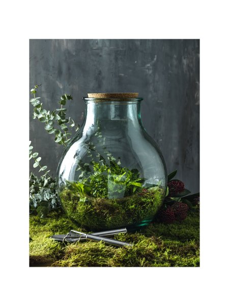 terrarium-tier-en-verre-recycle-avec-set-de-jardinage-translucide-2.jpg