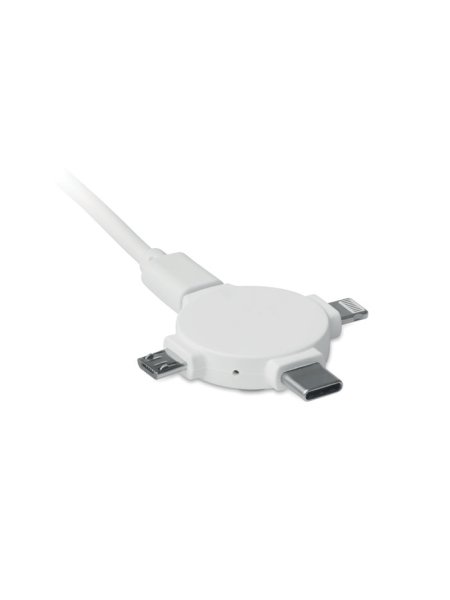 Câble avec adaptateur 3 en 1