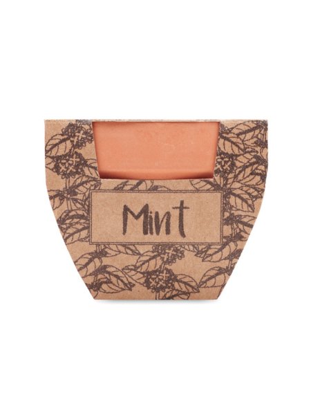 Pot avec graines de menthe