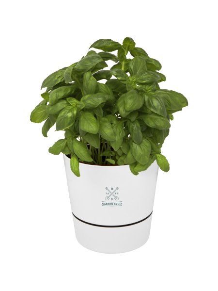 Pot de cuisine simple Herbs