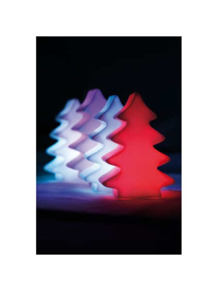 Lumière changeante sapin