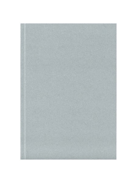 carnet-novella-austen-a5-a-couverture-souple-argent-51.jpg