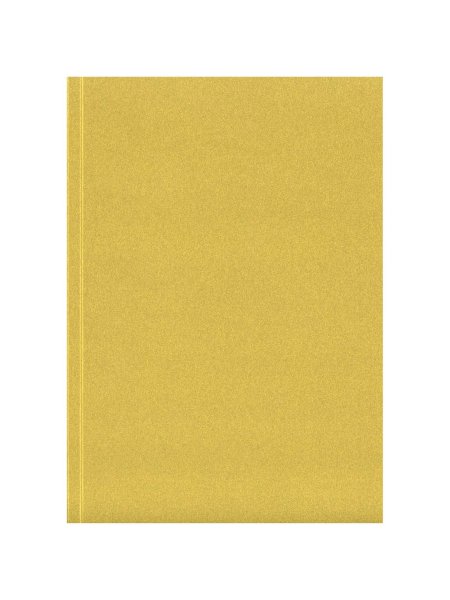 carnet-novella-austen-a5-a-couverture-souple-or-46.jpg