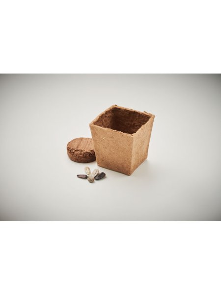 kit-de-tournesol-beige-6.jpg