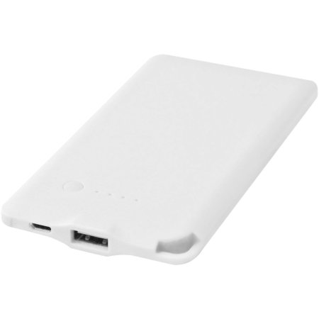 Batterie de secours WS119 4000 mAh