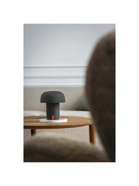 enceinte-et-lampe-jbl-portables-kooduu-sensa-play-10w-anthracite-14.jpg