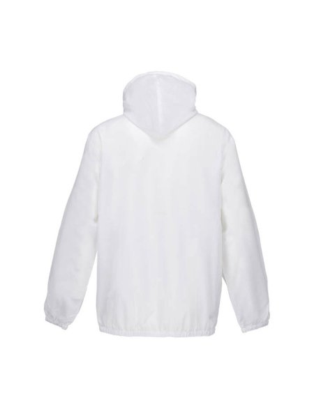 shield-coupe-vent-blanc-17.jpg