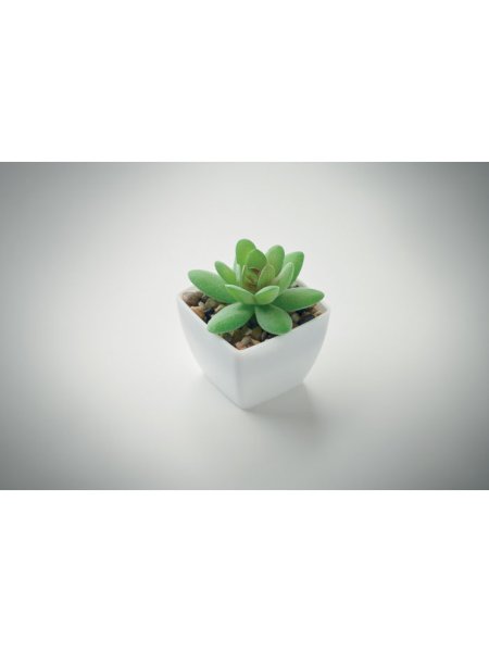 mini-plante-artificielle-blanc-5.jpg