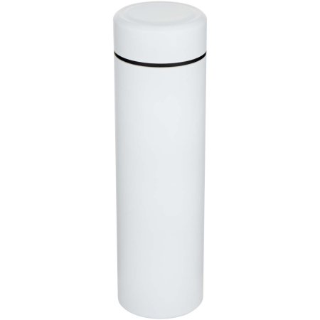 Gourde Taylor en acier inoxydable à double paroi de 450 ml avec filtre à thé