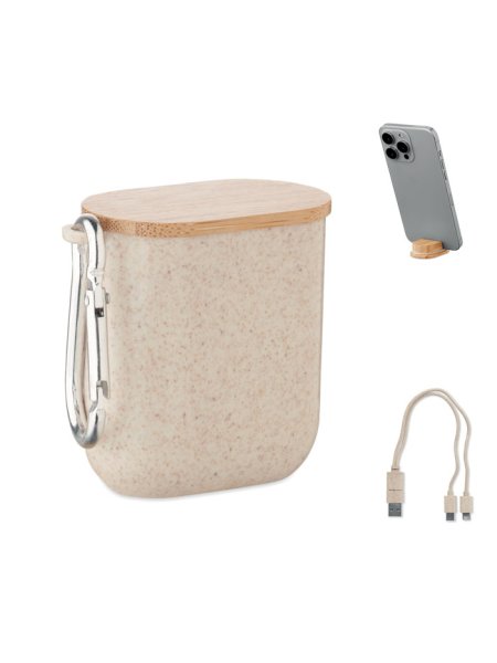 Set de câbles dans un boîtier